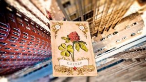 КЛЕВЕР.ВТОРАЯ КАРТА ЛЕНОРМАН.ЗНАЧЕНИЕ КАРТЫ КЛЕВЕР.