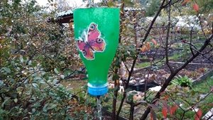 Водосток из цепи и пластиковых бутылок