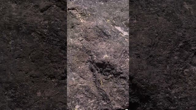 Путешествия. Горы. Йога-тур. Приэльбрусье. Чегет. Девичьи косы. Терскол. Юсеньги смотреть онлайн