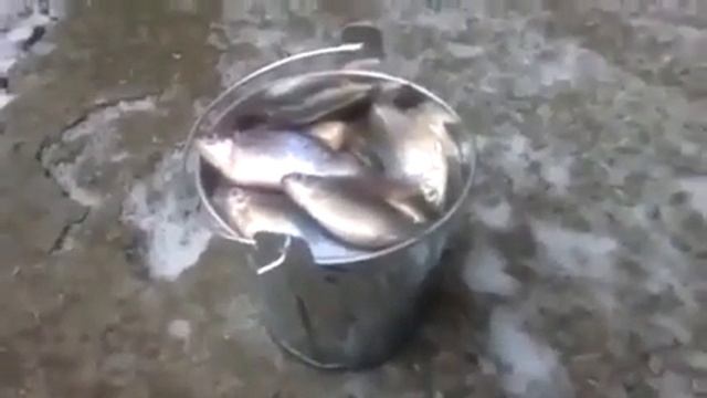 Зимняя рыбалка "Какие мы с папкой молодцы". смотреть онлайн