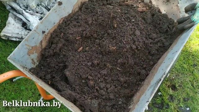 Клубника в трубах, вёдрах после зимы. Belklubnika.by (1).mp4 смотреть онлайн