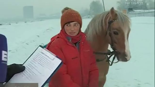 Прямое включение. Готовим сани летом, а телегу зимой смотреть онлайн