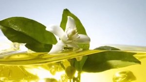 НЕРОЛИ | ЭФИРНОЕ МАСЛО