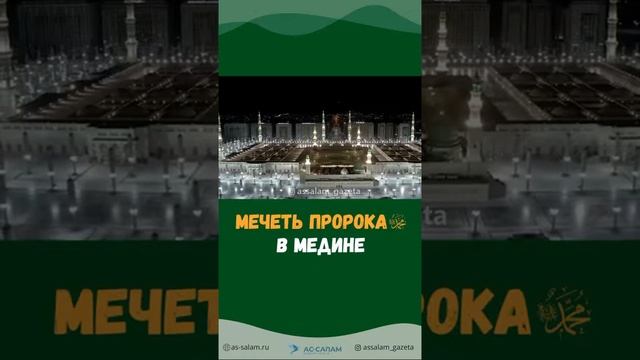 Мечеть Пророка ﷺ