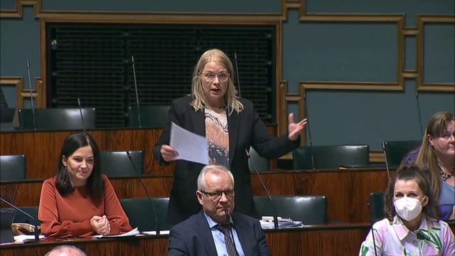 Leena Meri perussuomalaiset смотреть онлайн