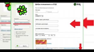 Jimm icq QiP или как умерла аська \ жирный