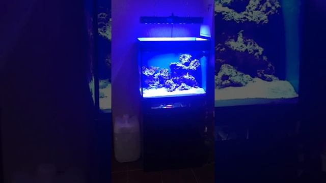 IMG 0422 смотреть онлайн