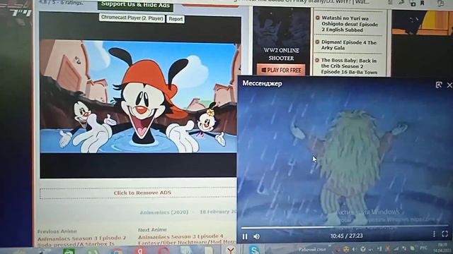 Роза сус! ромашка ромашка белый лепесток!
