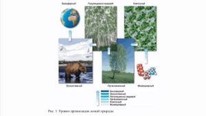 СУЩНОСТЬ ЖИЗНИ И СВОЙСТВА ЖИВОГО, ПАРАГРАФ 3, БИОЛОГИЯ, 9 КЛАСС, В. В. ПАСЕЧНИК