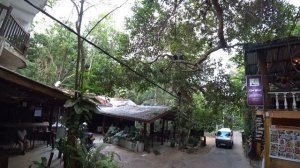 Отель Araliya Beach Unawatuna. Шри-Ланка. Экскурсия на озеро. Японская пагода.