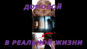 Существует ли домовой в реальной жизни????//ВСЯ ПРАВДА О ДОМОВЫХ