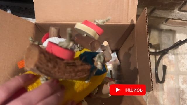ПОКУПКИ ДЛЯ ПОПУГАЯ | ИГРУШКИ И АКСЕССУАРЫ ДЛЯ НОВОГО ПИТОМЦА ПИРРУРЫ ЧЁРПИ