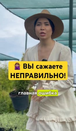 НЕЛЬЗЯ сажать так!