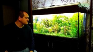 Все СЕКРЕТЫ выращивания АКВАРИУМНЫХ растений от Артема! 2 часть