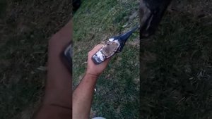 Колун "Intertool"