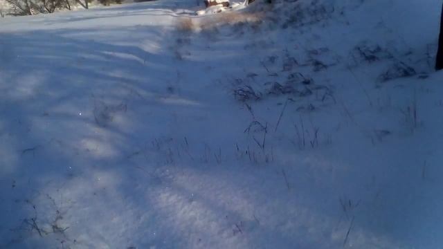 Промысел куницы смотреть онлайн