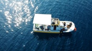 Рыбалка в Турции на Эгейском море