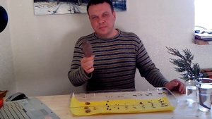 Посадка хвойных из семян, проращивание, черенкование туи, подготовка земли