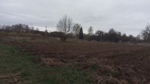 Разработка почвы мотоблоком Рысь ??❤️?