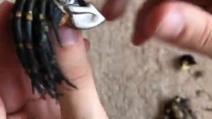 Распаковка фигурки Хищника от Neca