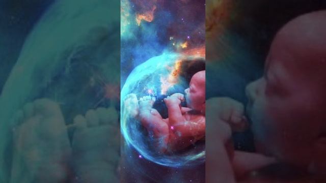 Медитация Перепросмотр внутриутробного периода смотреть онлайн