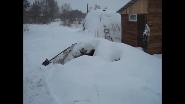 Откорм бычков: Что такое ЖОМ