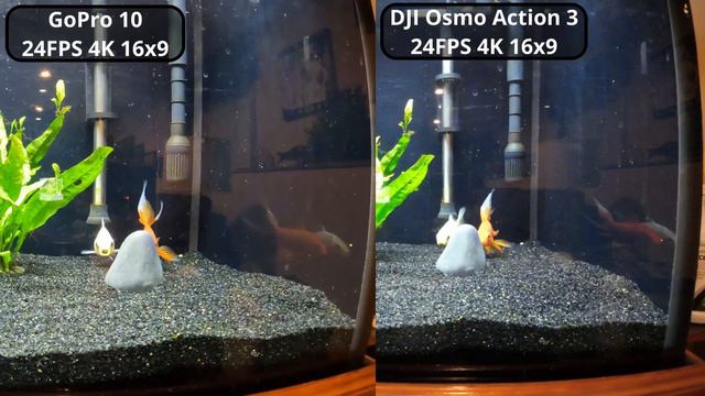 DJI Osmo Action 3 VS GoPro Hero 10 WOW Holy Focus Bassman!!! смотреть онлайн