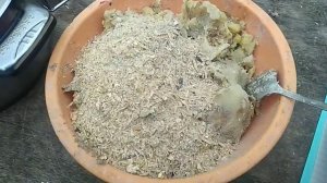 Кормление кур осенью