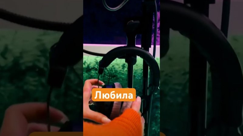 25 июля 2023 г.