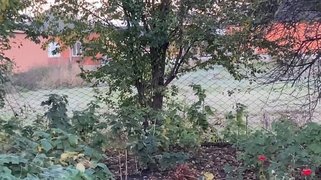 Ремонт на кухне продолжается | собираюсь на свадьбу смотреть онлайн