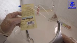 Огурец Берендей F1. Гавриш