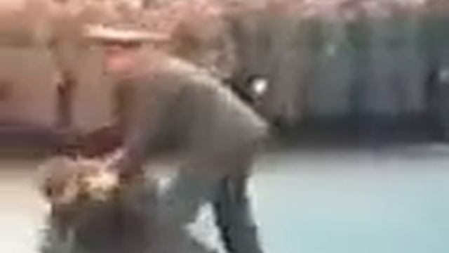 Дикий командир смешно прикол в армии ! Казусы,курьёзы,обломы смотреть онлайн