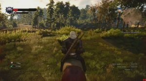 The Witcher 3: Wild Hunt Прохождение Часть 8 - Как восстановить здоровье - Gameplay #TheWitcher3