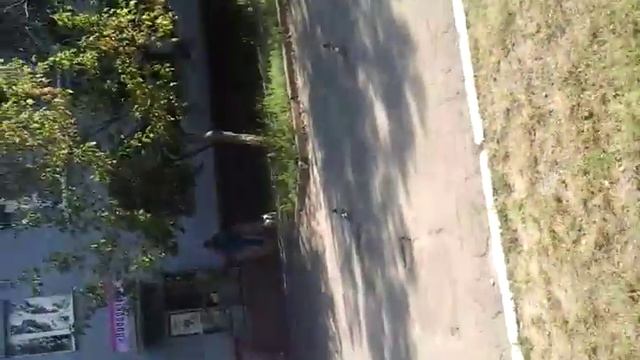 Прогулка з собакой Адель Утром 3 чеса утра смотреть онлайн