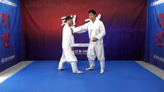 2021 전통무예 택견 온라인 강습_2021 Korean Traditional Martial Art Taekkyeon Online Class смотреть онлайн