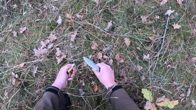 Грибочки в ноябре 2023. Новые звезды YouTube. Вот это компания!!! смотреть онлайн