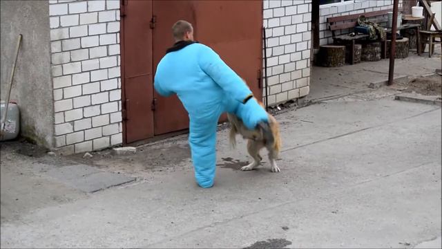 Проверка Айшан на РК. смотреть онлайн