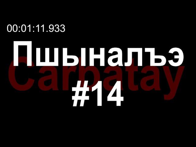 Пшыналъэ #14 | Тенджыз Наиб и къафэ | Пшынауэр - Сэхъу Хьэсэн смотреть онлайн