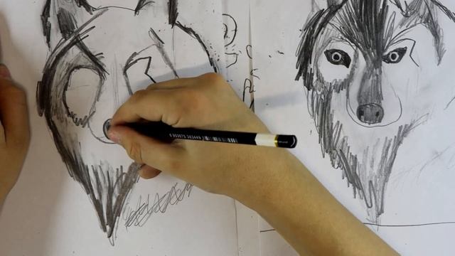 Рисунок простым карандашом волк пошагово как нарисовать волка смотреть онлайн