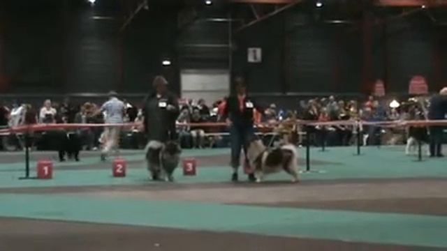 Чемпионат Европы ч.2 смотреть онлайн