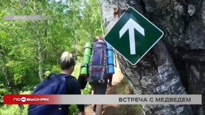 Медведь вышел к туристам на Большой Байкальской тропе недалеко от Листвянки