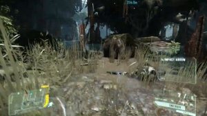 Crysis3 on MSI 6870 crossfire and Amd 4170 black edition