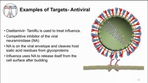 Intro to Micro: Replication