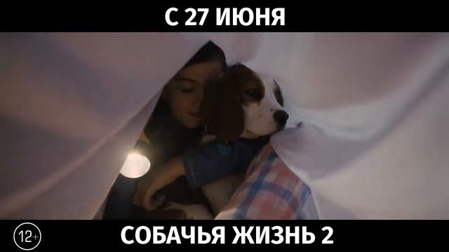 Собачья жизнь 2, 12+