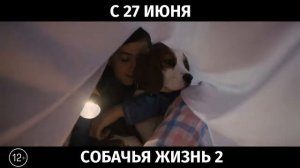 Собачья жизнь 2, 12+