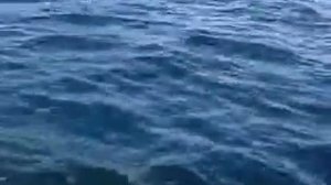 Смотреть Мастер Класс По Изготовлению Самодуров - Вязание Самодуров Для Морской Рыбалки