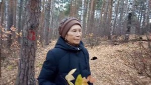 МЕНӘ ТАГЫН КӨЗЛӘР ҖИТТЕ... (вот и осень унылая пришла). Видео Нусратуллина Ф.Г.