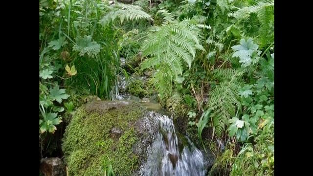 Россия Алтайский край Казанцево Колывань Гора Синюха смотреть онлайн