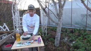 Срочные обработки плодового сада. Чем опрыскать деревья в мае?