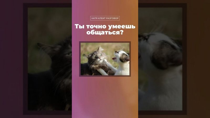 Ты точно умеешь общаться? #ккр #коммуникация #навыкиобщения #социология #наука